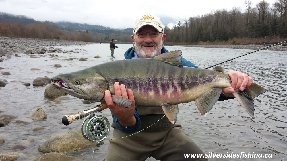 Fly Fishing for Chum Salmon produces!