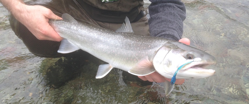 A fine day for Bull Trout Fly Fishing near Vancouver!