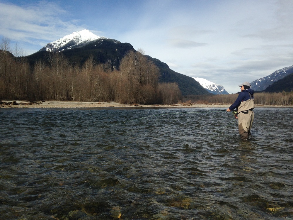 The Start of Bull Trout Season  Brian Mack's BC River Fishing Blog